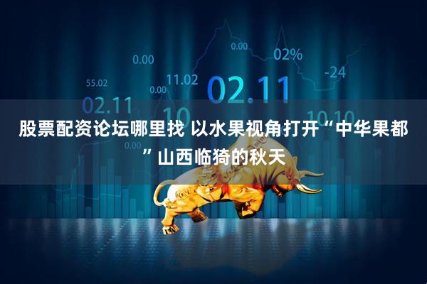 股票配资论坛哪里找 以水果视角打开“中华果都”山西临猗的秋天