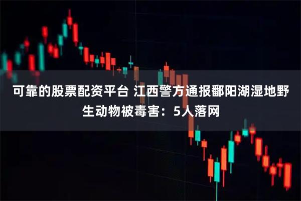 可靠的股票配资平台 江西警方通报鄱阳湖湿地野生动物被毒害：5人落网